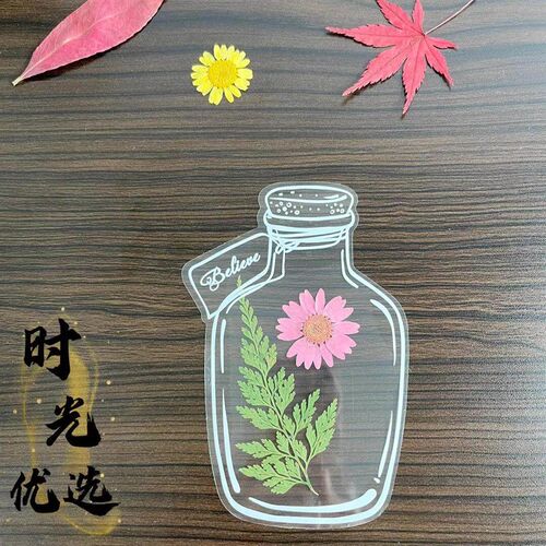 DIY Materials for Dried Flower Bookmark in Transparent Bottl