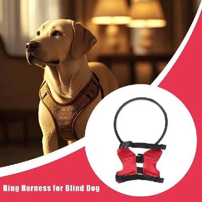 Blind Dog Bumper Protective Halo Collar For Blind Dogs