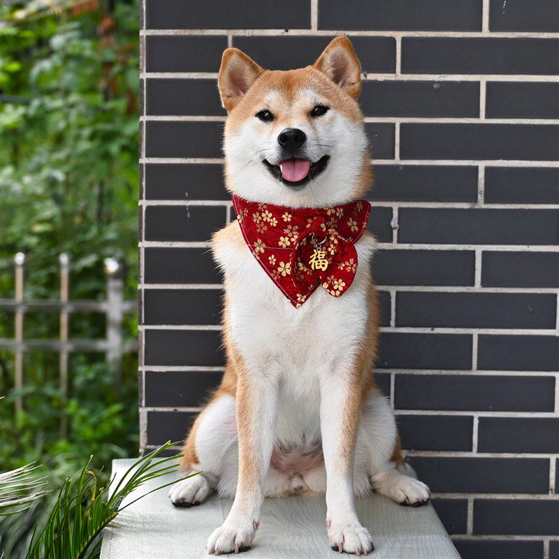 【柴犬烫金和风牵引】日式狗狗项圈颈圈/领巾/牵引绳/胸背