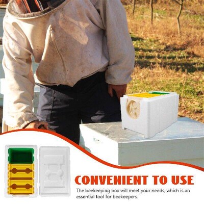 Foam Breeding Mating Box 4 Frame Feeder White Entrance