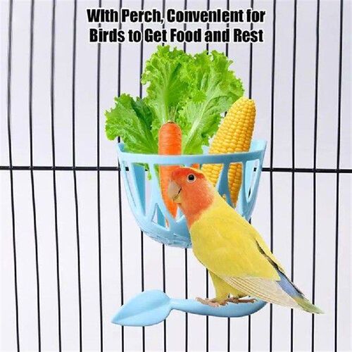 parrot vegetable and fruit feeding rack with perch