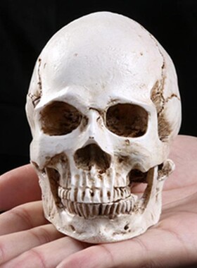 Human Head Replica Resin Divided 3D Skull Mould for Hallowee