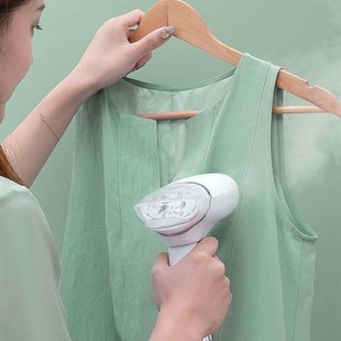 Handheld Steamer Portable Steam Electric iron 220V 1000W