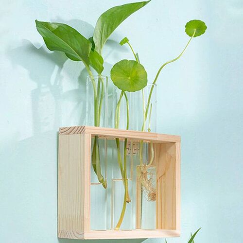 1 Set Creative Hydroponic Plants Container With Wood Frame T