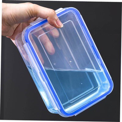 plastic food fruit storage box container lunch fridge big
