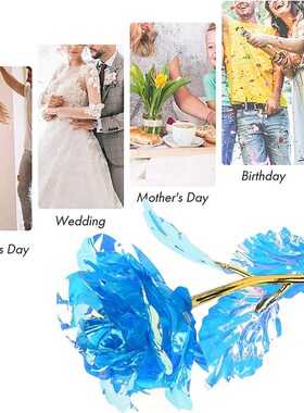 Led Valentines Day Mothers Day Gift  Foil Plated Roses Art