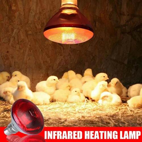 220V Poultry Heating Bulb 100/150/200/275W Infrared Lamp Ins