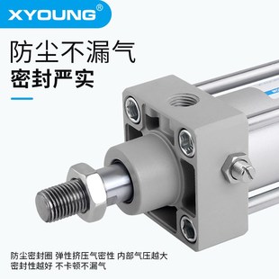 B75带磁标准气缸SC2 B100标准气缸SC2 SC2