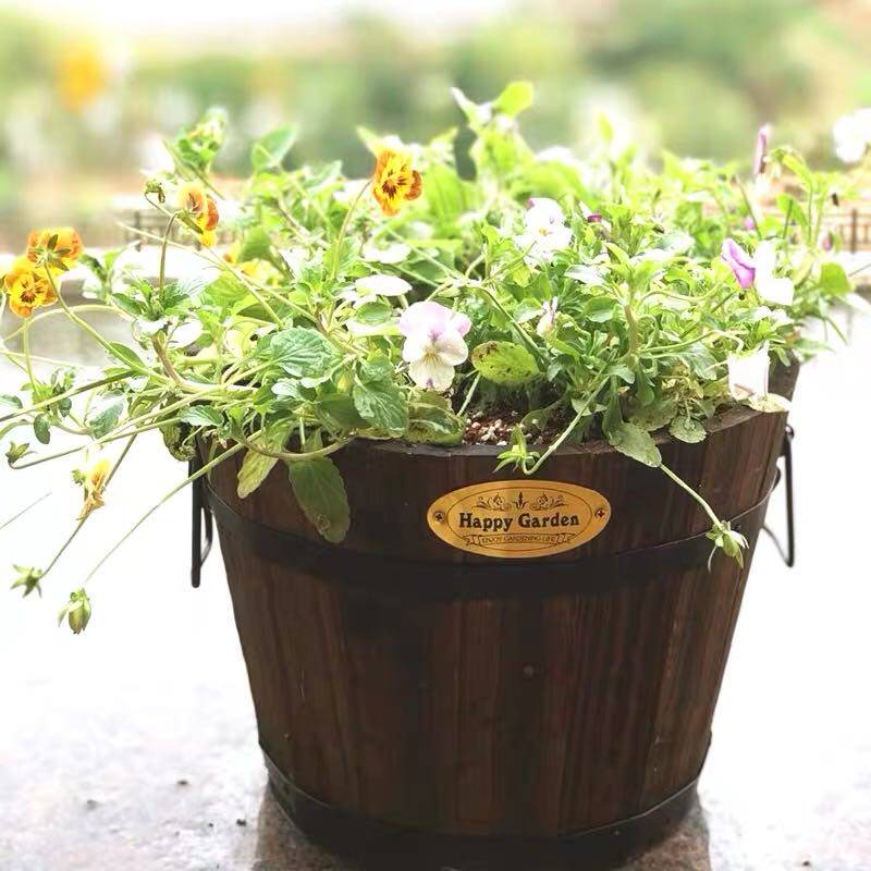 碳化防腐木制花桶花箱花盒阳台种花种菜绿植花盆木桶多肉花盆