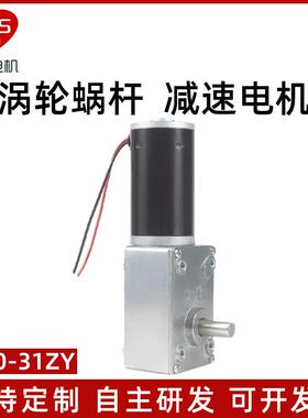 立盛5840-31ZY微型直流减速电机钢齿轮 蜗杆调速慢速马达12V24V