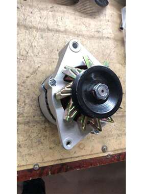 2409002310125发电机JFWZ17发电机JFZ192发电机拖拉机发电机