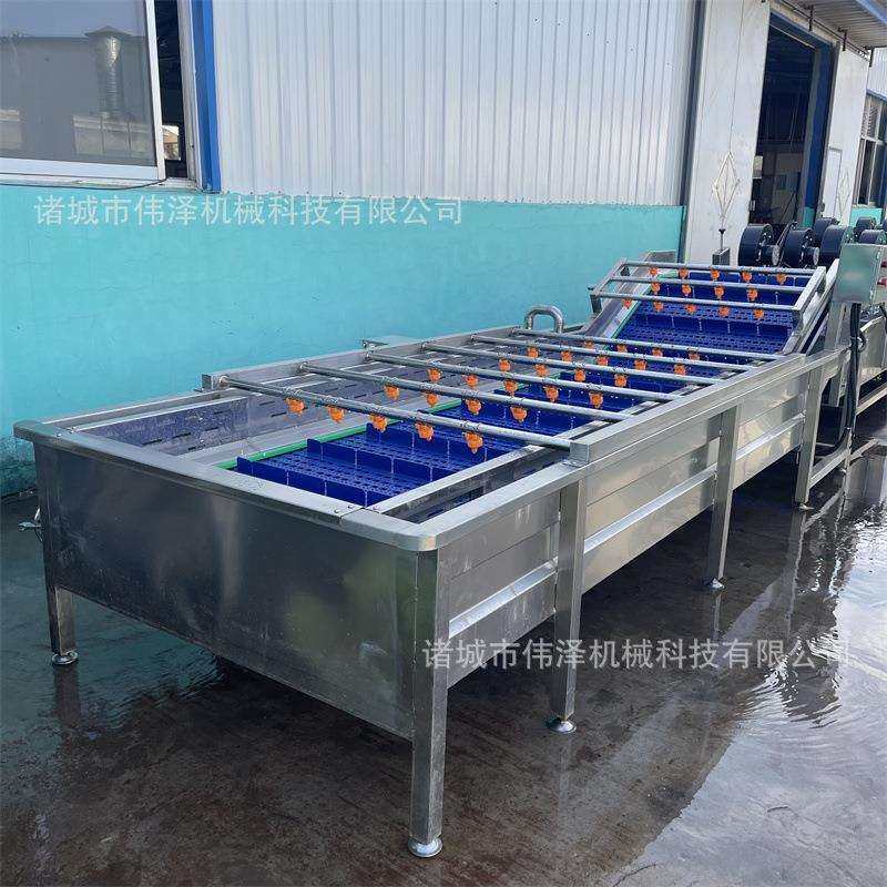 橘子清洗去泥流水线 冬枣气泡清洗机厂家 清洗玉米设备厂家现货,鲜花速递/花卉仿真/绿植园艺,割草机/草坪机,淘宝优惠券,粉丝福利购,淘宝优惠卷