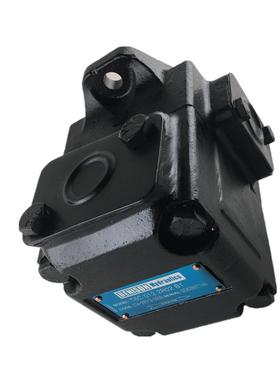 DENISON丹尼逊叶片泵T7B-B10-1R00-A1M0油泵T7BS-B10-1R00-A1M0