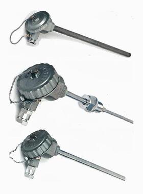 江苏雷泰高温热性好电偶耐腐热性好电偶热电阻LT-WRPF精度高