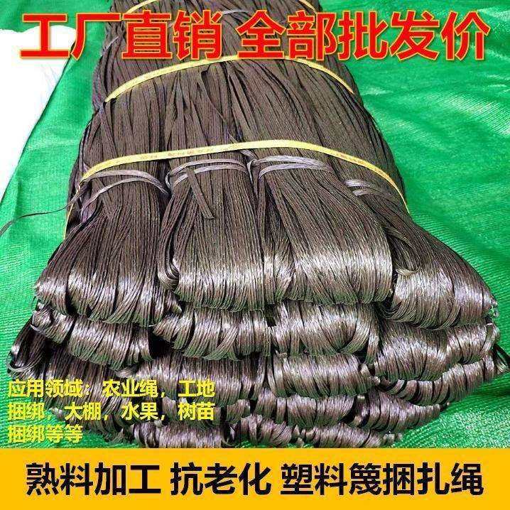 塑料绳捆扎捆绑扎带果树拉枝大棚工地农用建筑竹架排山玉米耐高温,鲜花速递/花卉仿真/绿植园艺,割草机/草坪机,淘宝优惠券,粉丝福利购,淘宝优惠卷