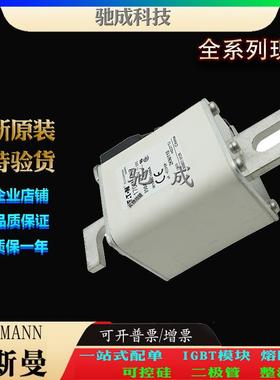 巴斯曼170M5968 170M5969 170M5970 长期优价供应 快速保险丝