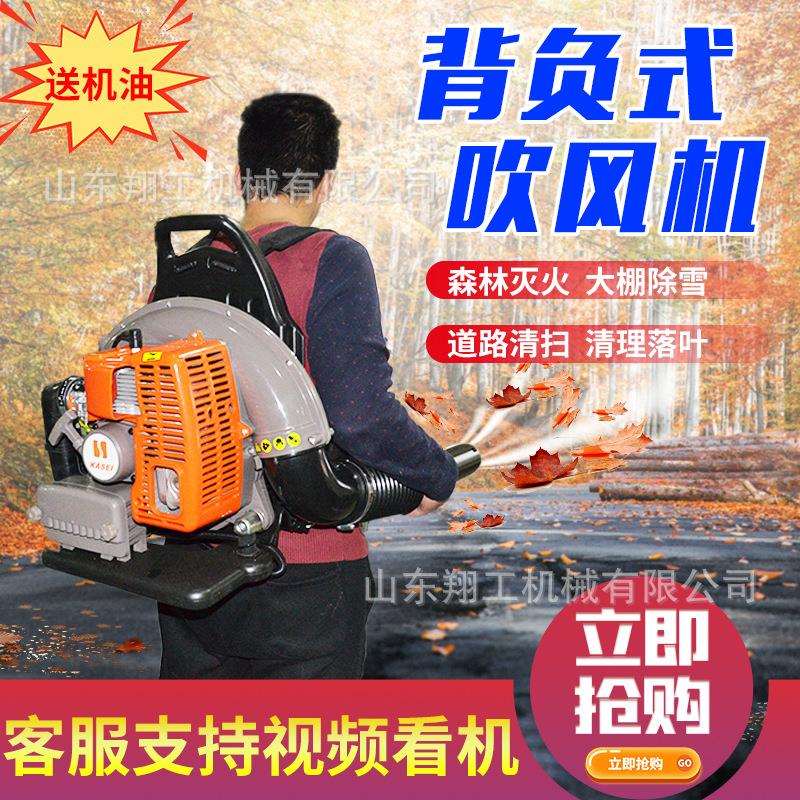 马路吹风机山东路面吹风机厂家直供路面树叶清理设备