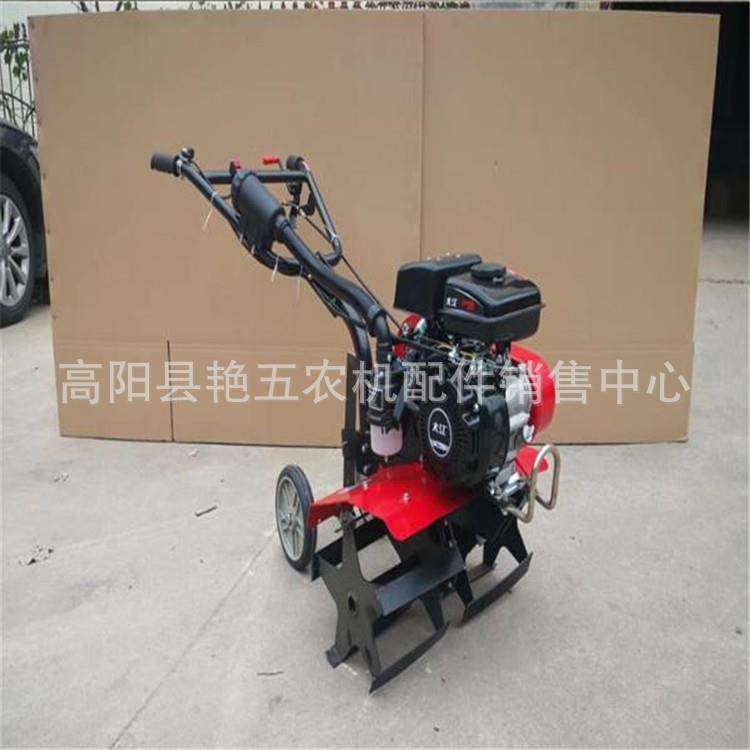 188小型手扶柴油微耕机单缸风冷旋耕机农业机械开沟施肥机多功能,鲜花速递/花卉仿真/绿植园艺,割草机/草坪机,淘宝优惠券,粉丝福利购,淘宝优惠卷