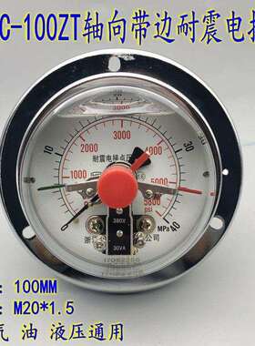 耐震电接点压力YNXC-100ZT轴向带边控制器真空上下限开关M20*1.5