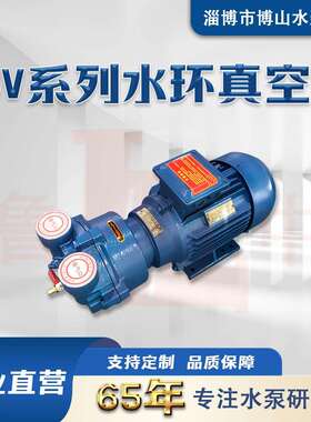 2BV2061型博山真空泵水环真空泵机械密封真空泵直联式水环泵