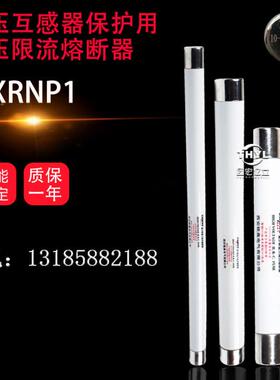XRNP1-24KV/2A-50KA电压互感器保护用高压熔断器 354*25mm