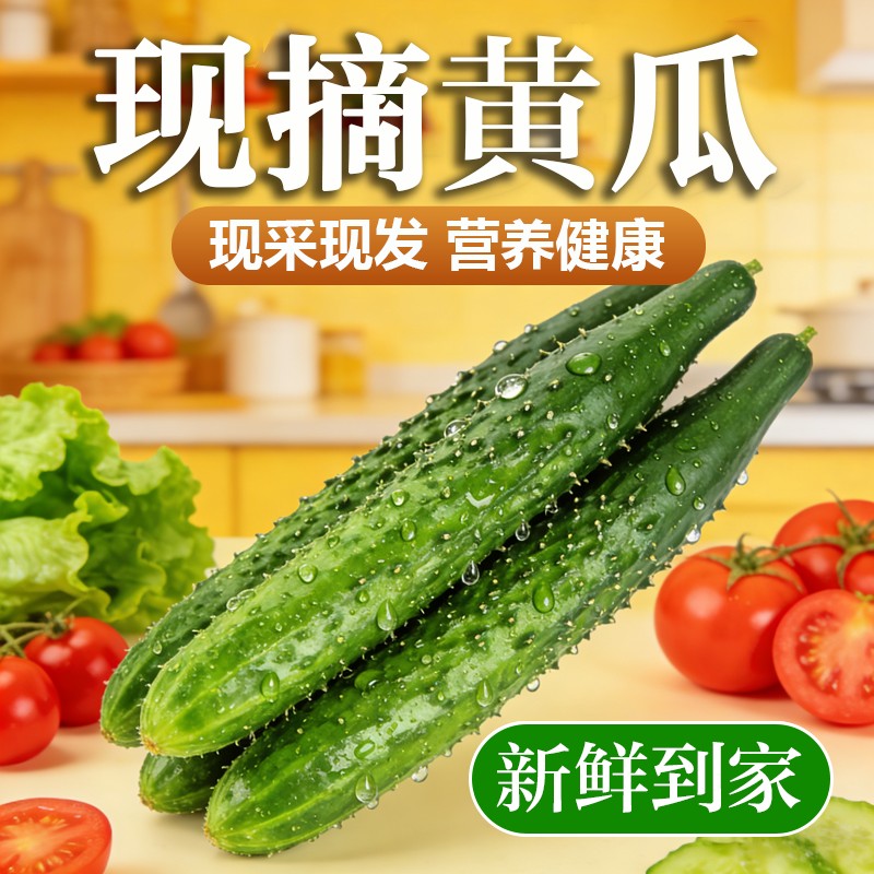 【保鲜】带刺黄瓜东北当季现摘新鲜黄瓜农家自种蔬菜小青瓜