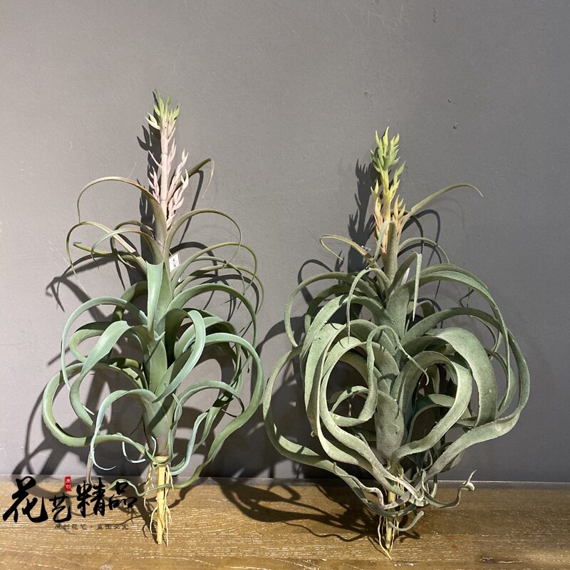 开花空气草仿真花凤梨松萝铁兰垂吊软装造景单只/束摆放花艺吊兰