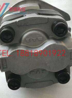 玉柴35洋马45山河智能50齿轮泵 挖掘机先导泵PSVD2-17E/21E液压泵