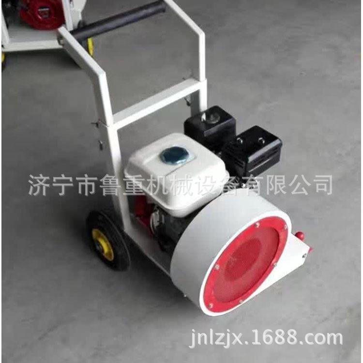 厂家生产手推式汽油吹风机 路面树叶灰尘吹风机 GX160汽油机吹风图片