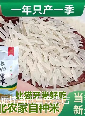 东北长粒米超长香米五常七色糙米农家自种20斤炒饭专用2025新米
