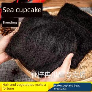 南澳特产 广东发菜 头发菜正品海发菜干货龙须菜50g500g商用正宗