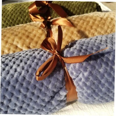Solid Color Mesh Blanket Coral Fleece Knee Blanket菠萝格毛毯