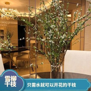 枝桃花泡水开真花水养新鲜装饰插花瓶干树枝柳枝干花包花遇水开花