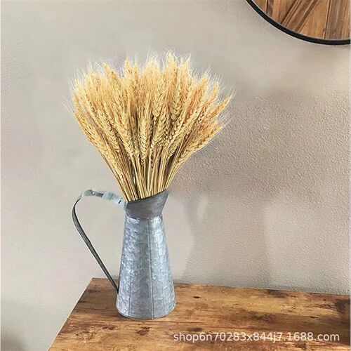 Wheat Ear Dried Flower Manufacturer Yunnan Maisui Opens Barl