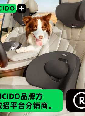 CICIDO/夕夕多 【升级款】车+两用五档可调节腰靠 CJ0204