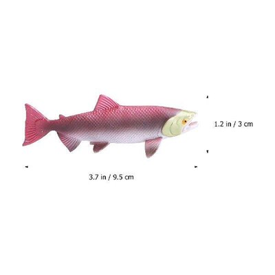 4 Pcs Rayan Toys for Kids Growth Cycle Model Sea Animal