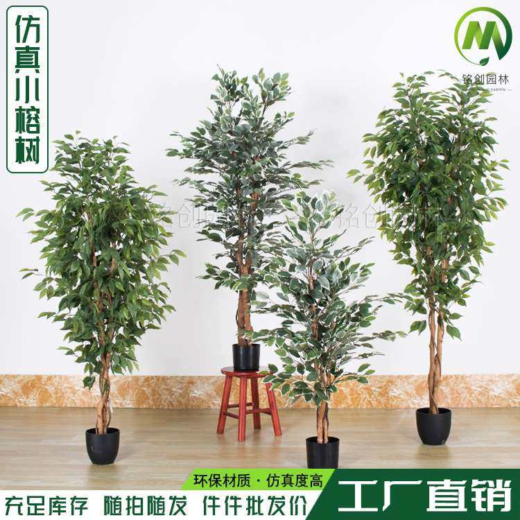 仿真绿植假榕树盆栽 人造迷你榕树装饰用仿真榕树仿真植物景观,3C数码配件,其它配件,淘宝优惠券,粉丝福利购,淘宝优惠卷