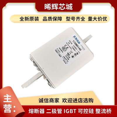 170M5140 170M5141 型号齐全 直流快速熔断器 电子元器件 现货
