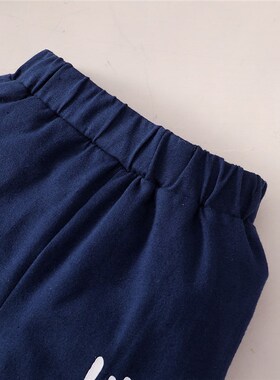 Spring 0-24 Months Newborn Baby Boy 2PCS Clothes Set Long Sl