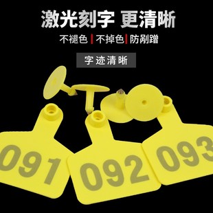 特大号精品牛耳标牌 带字牛耳标 牛耳标 牛标识牌 牛用耳标牌