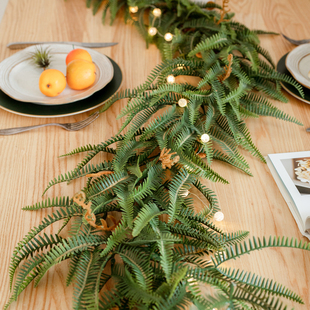 掬涵仿真蕨叶山边草藤蔓花环装饰摆件蕨类绿植软胶墙面景观造景