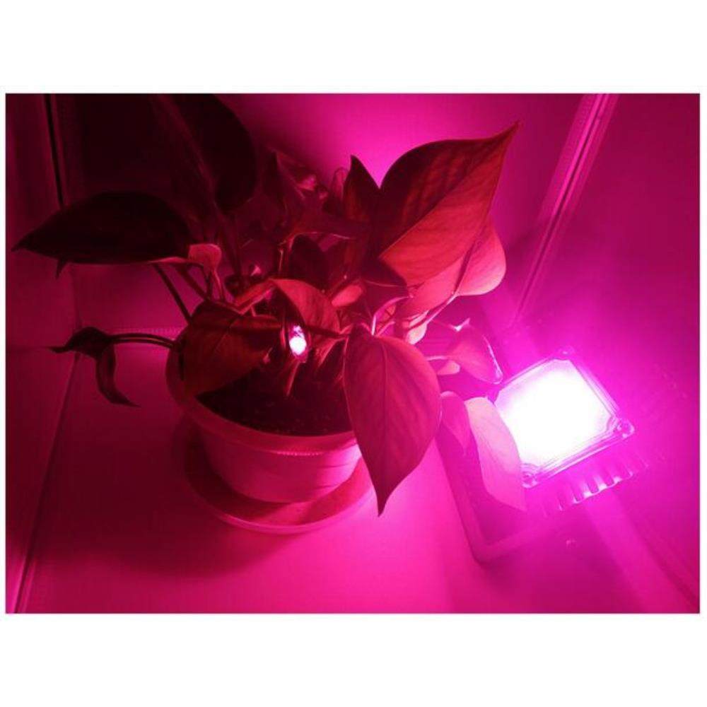 室内外防水led植物生长灯 全光谱投光灯 大棚果蔬led种植补光灯,鲜花速递/花卉仿真/绿植园艺,割草机/草坪机,淘宝优惠券,粉丝福利购,淘宝优惠卷