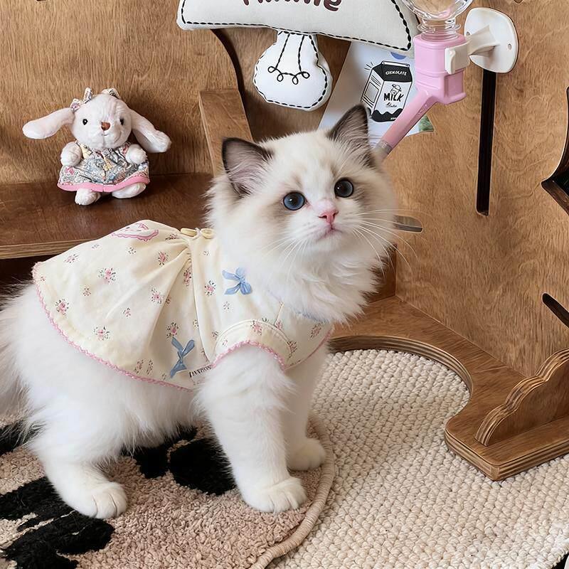猫咪衣服夏季新款小型幼犬布偶猫金渐层幼猫可爱碎花背心连衣裙子