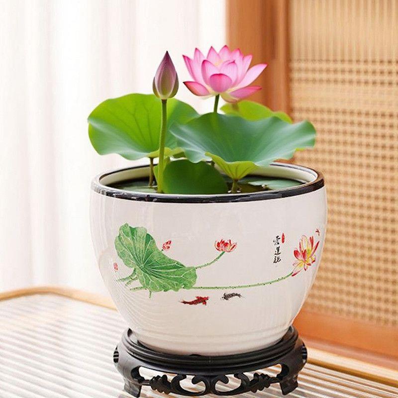 水培花盆陶瓷大号家用碗莲花盆一叶莲铜钱草睡莲水仙花盆