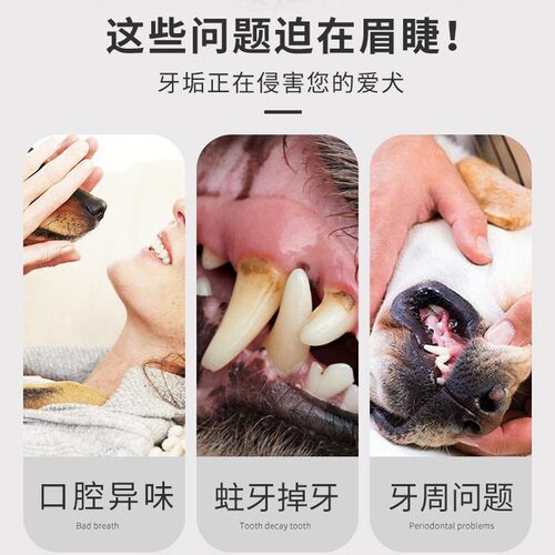 Pet Toothpaste Toothbrush suit Dogs and Cats Universal Dogs