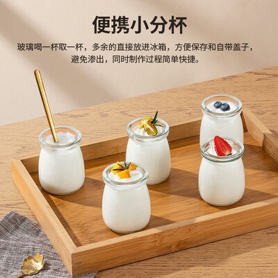 110v Yogurt Machine Household Automatic Stainless Steel Smal