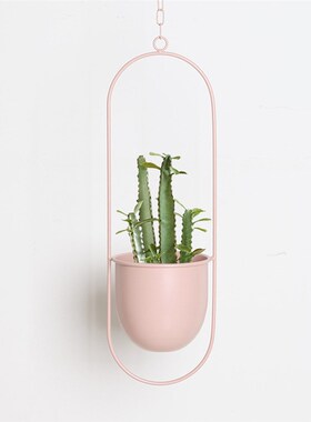 Nordic Hanging Metal Iron Plant Flower Pots Holder Garden