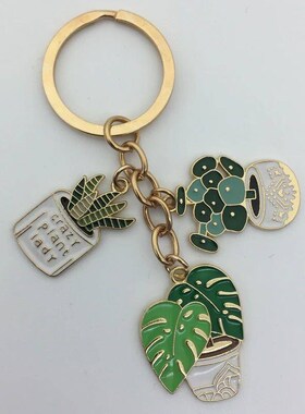 Cute fashion keychain ladies succulent potted succulent shap