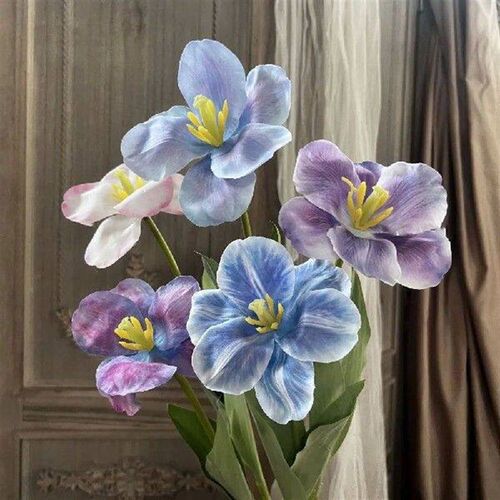 New Tulip Simulation Large Flowers Simulation Tulips