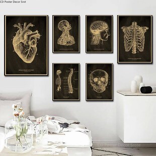 Anatomical Skeleton Chalkboard Poster Kraft Paper Posters DI